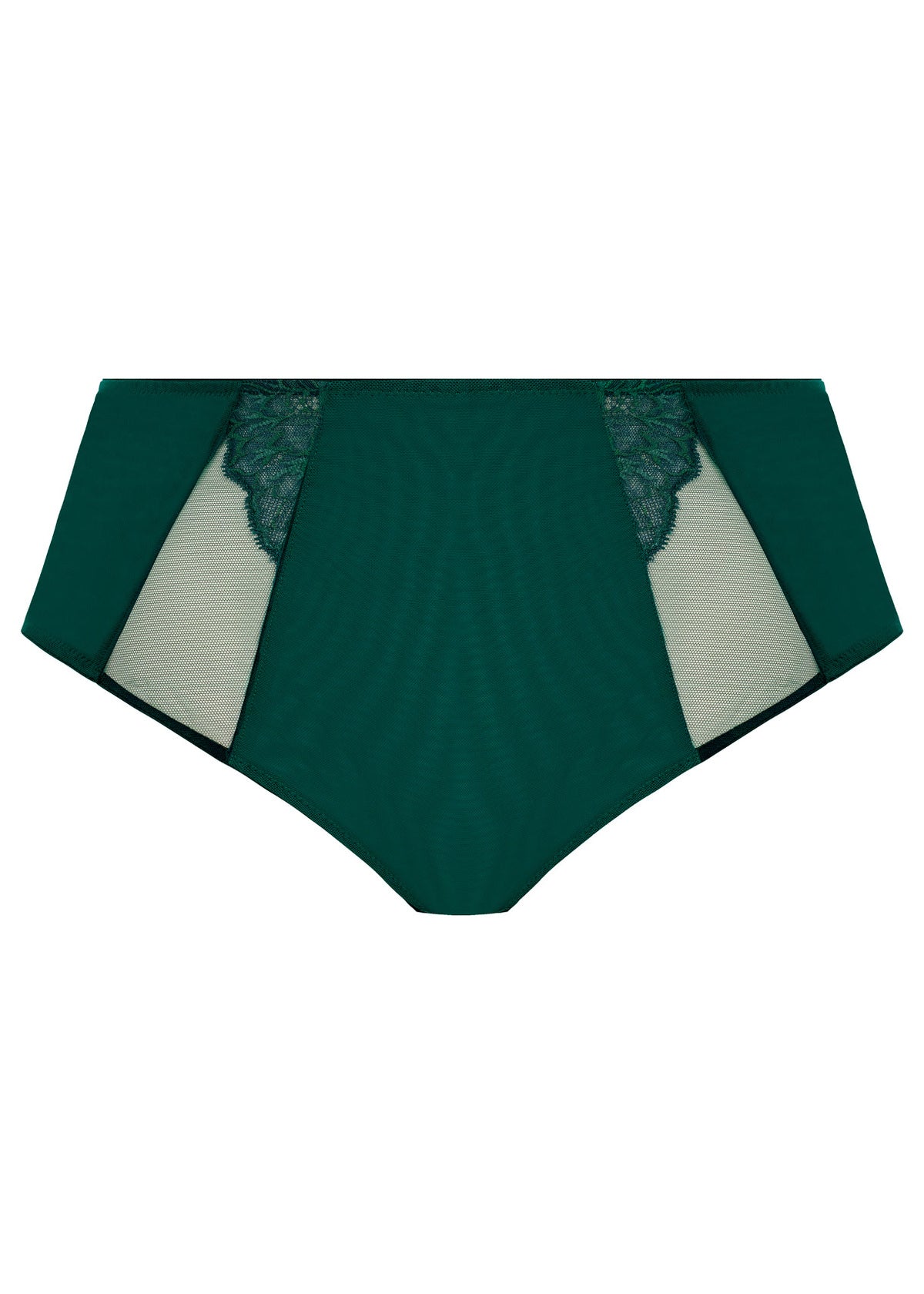 EL8085 Rainforest - Brianna Full Brief