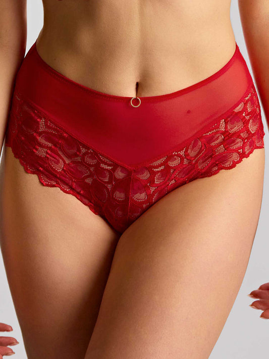 10764 True Red - Allure Deep Brief