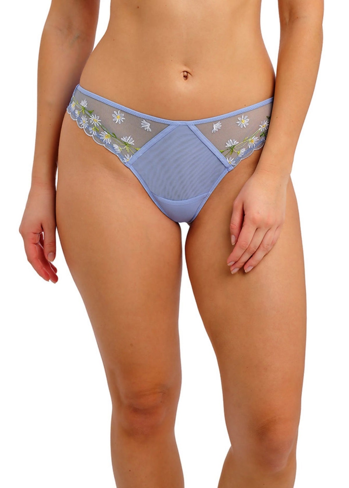 AA403850 Daisy - Entwined Brief