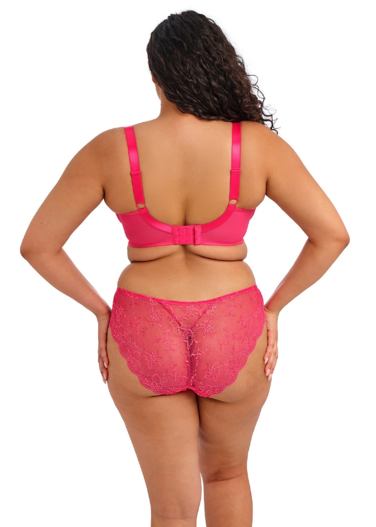 EL302955 Azalea - Darcie Brazilian