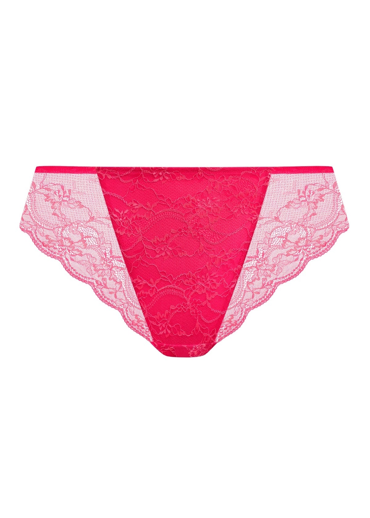 EL302955 Azalea - Darcie Brazilian