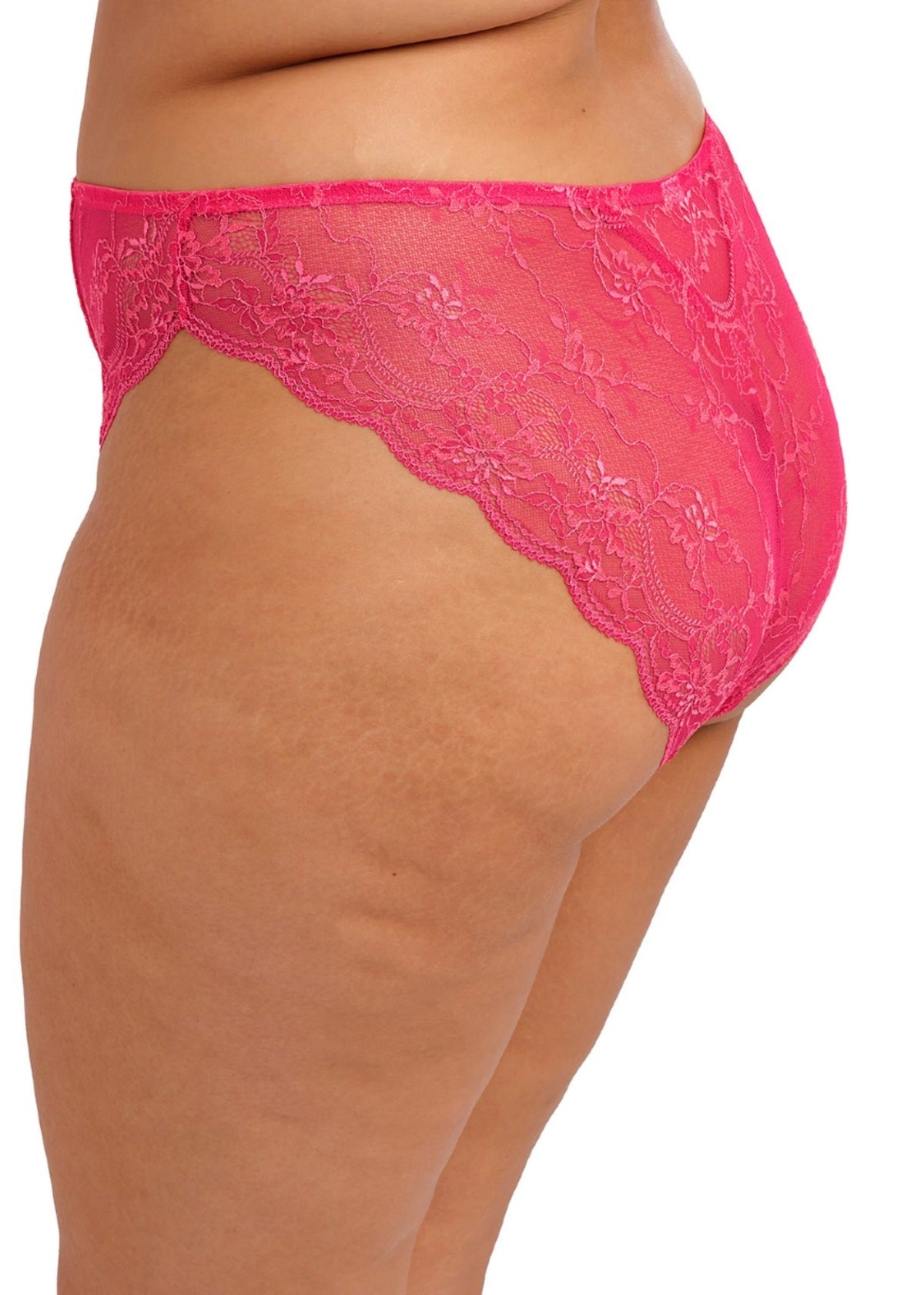 EL302955 Azalea - Darcie Brazilian