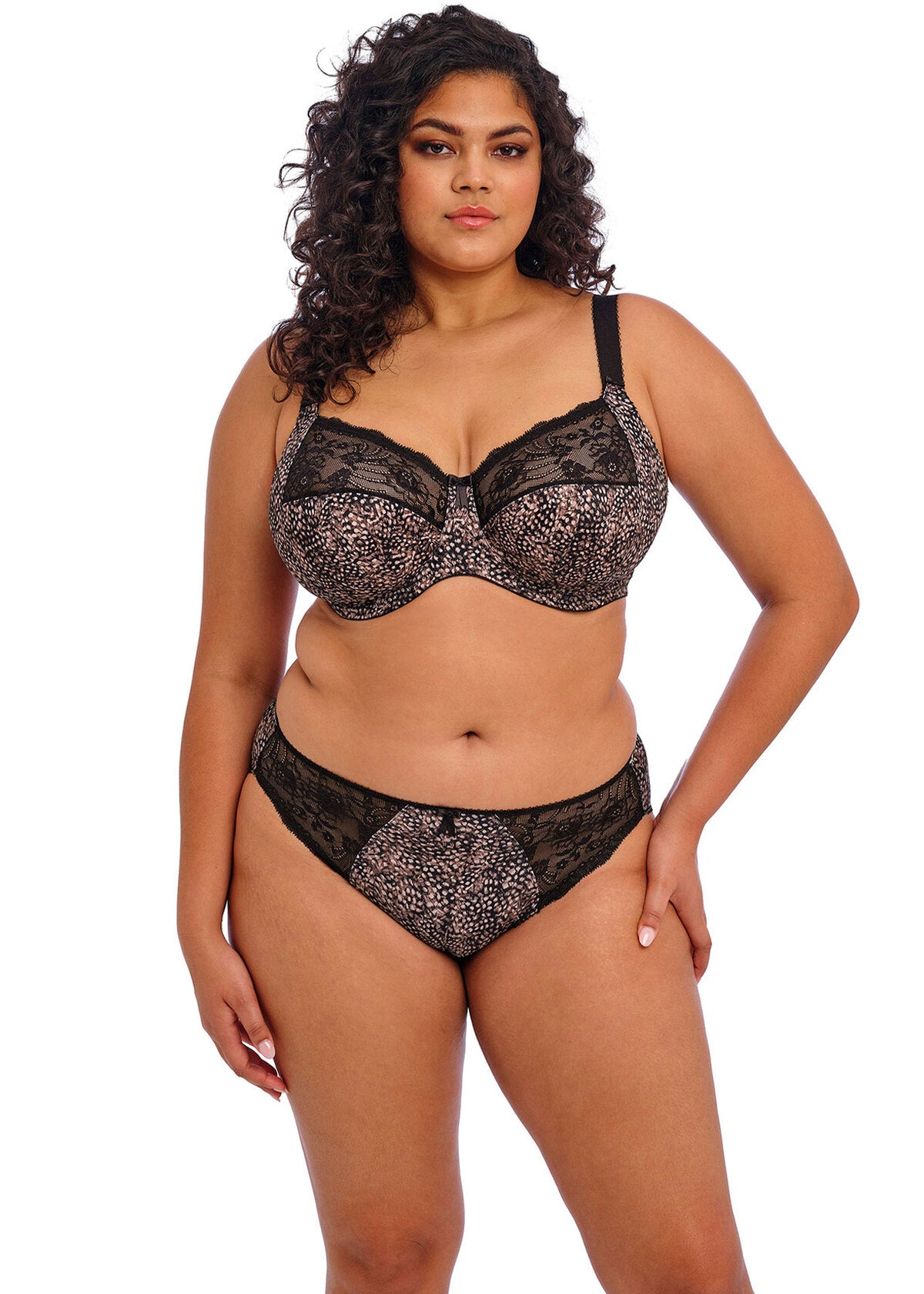 EL4115 Ebony - Morgan Brief
