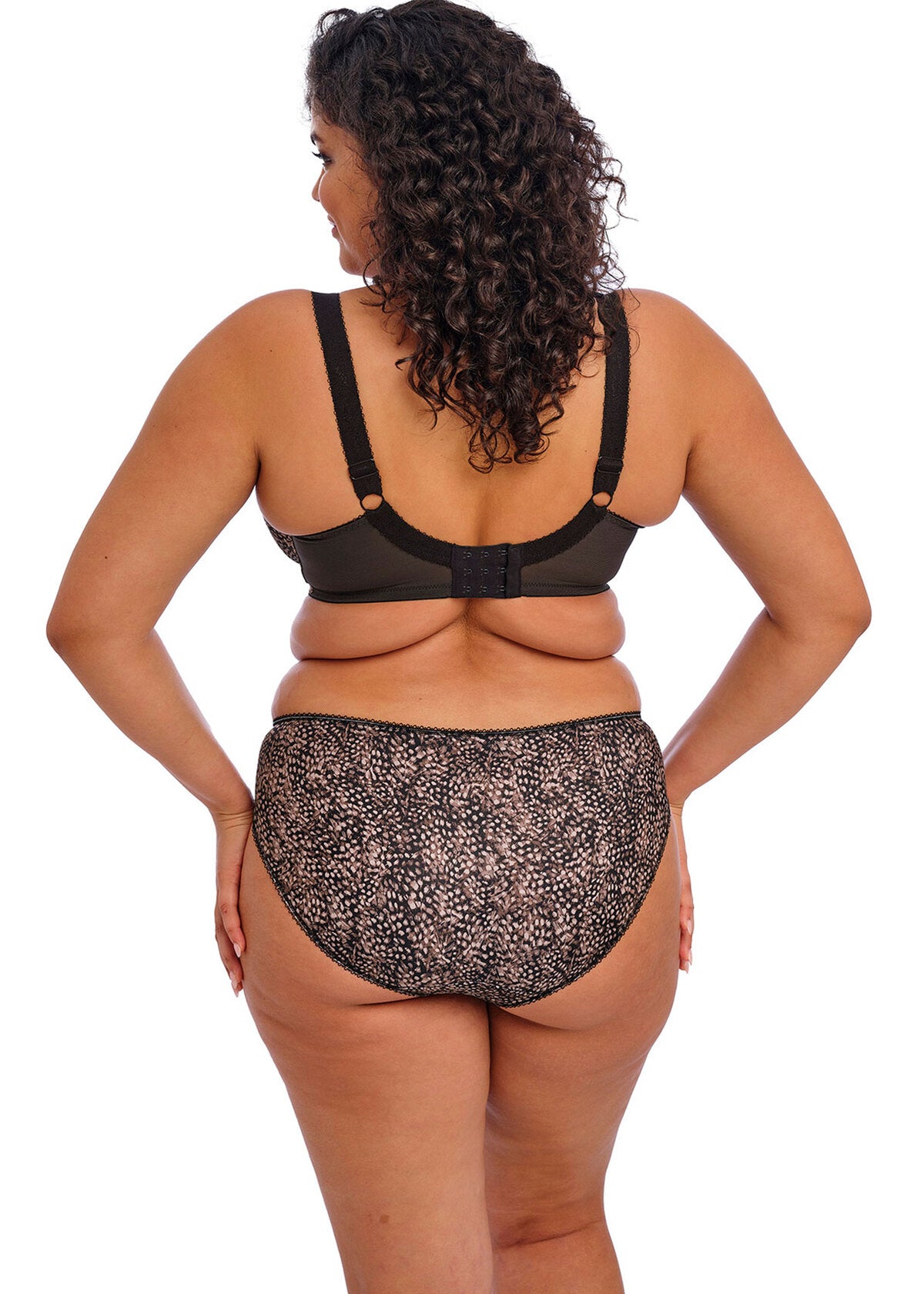 EL4115 Ebony - Morgan Brief