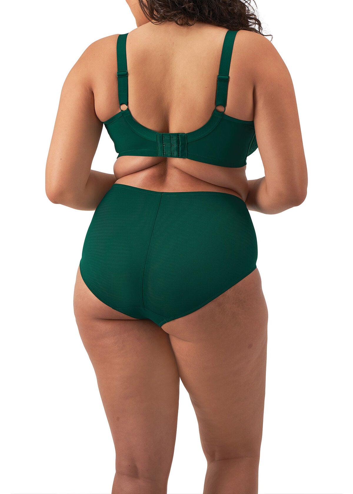 EL8085 Rainforest - Brianna Full Brief