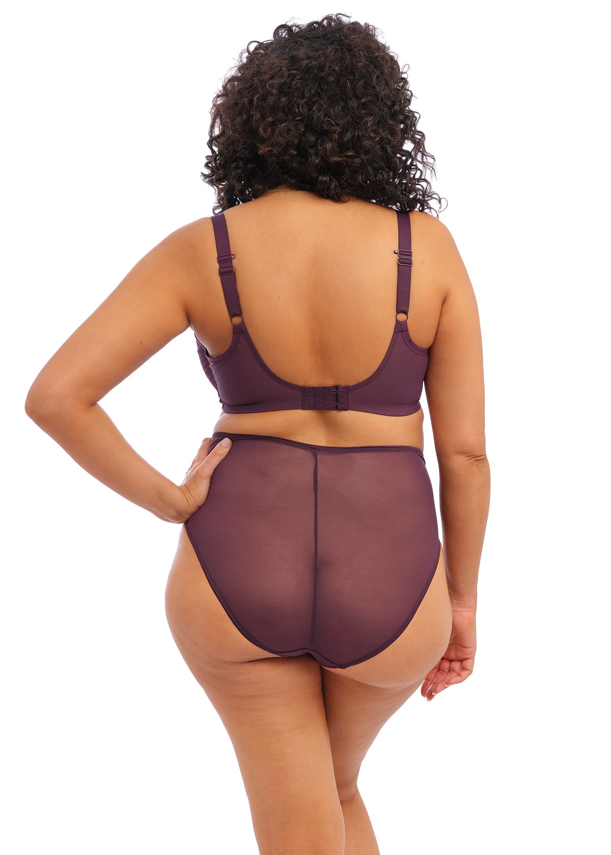 EL8906 Wine Diamond - Matilda Full Brief