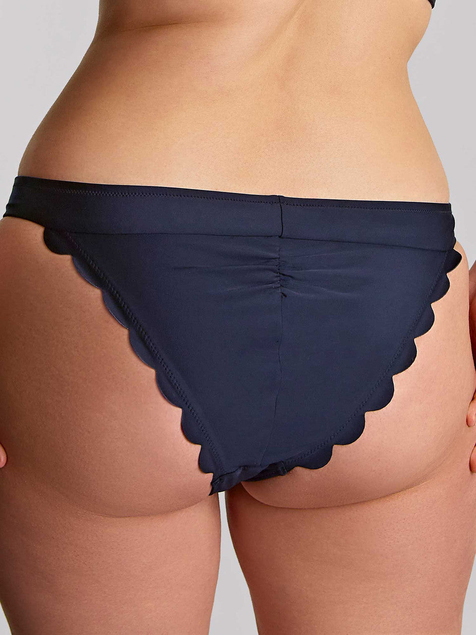 SW2126 Ink Blue - Signature Scallop Classic Brief
